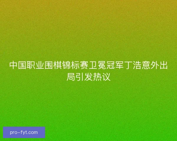 中国职业围棋锦标赛卫冕冠军丁浩意外出局引发热议